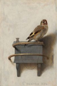 Het puttertje van Fabritius